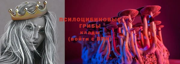 ПСИЛОЦИБИНОВЫЕ ГРИБЫ Баксан