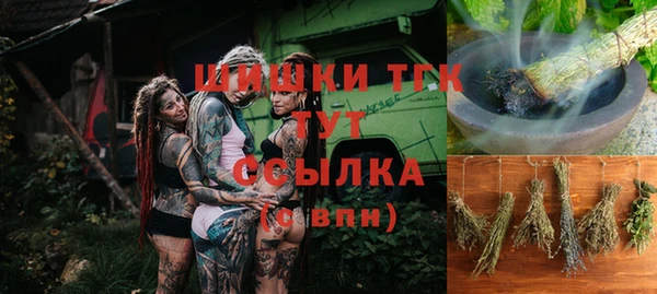 гашик Кулебаки