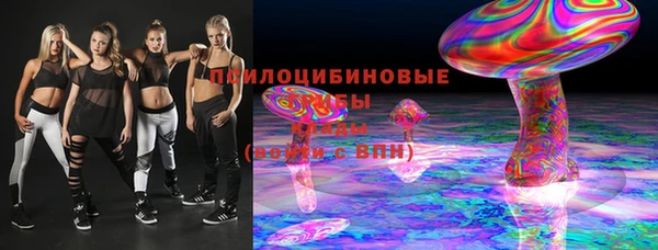 ПСИЛОЦИБИНОВЫЕ ГРИБЫ Баксан