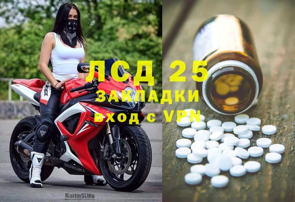 ПСИЛОЦИБИНОВЫЕ ГРИБЫ Баксан