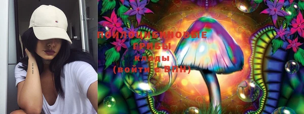 ПСИЛОЦИБИНОВЫЕ ГРИБЫ Баксан