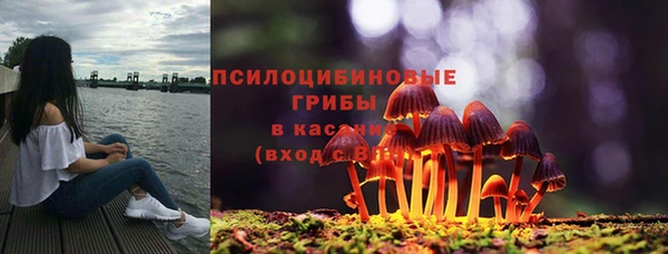 стафф Балахна