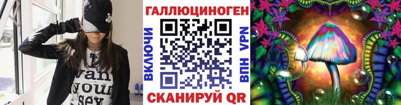 Псилоцибиновые грибы Psilocybine cubensis  Геленджик 